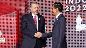 Ucapkan Selamat ke Erdogan, Presiden Jokowi: Warmest Congratulations to My Dear Brother!
